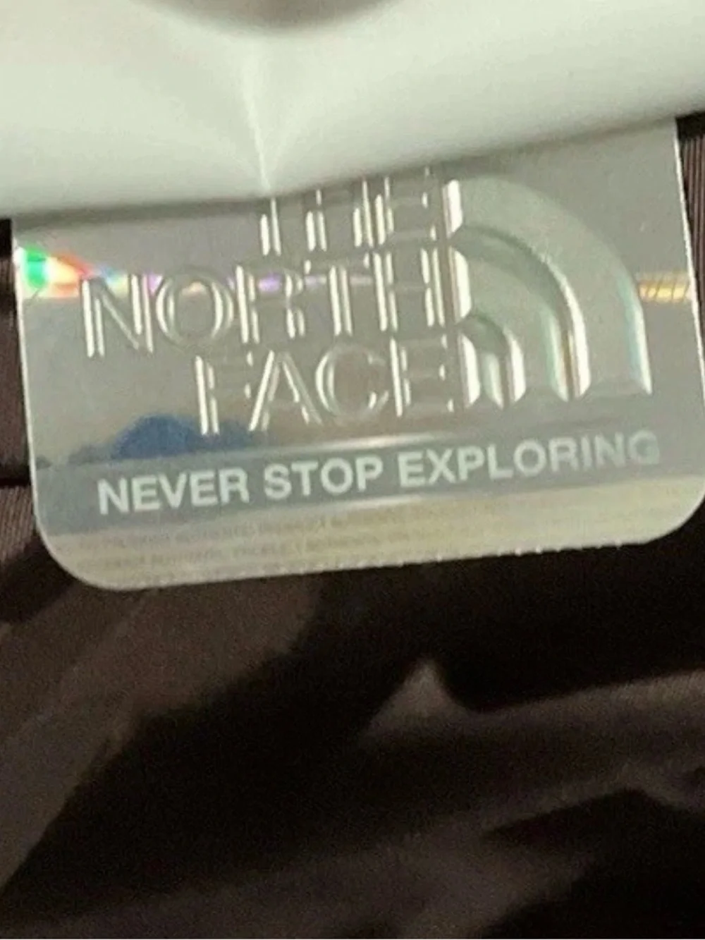 The North Face north face